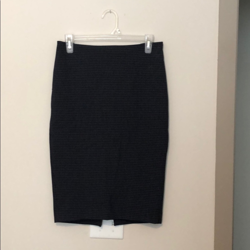Express Pencil Skirt
